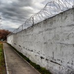 Wall_and_trees